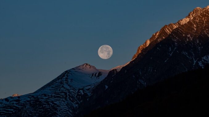 uploaded-image-sadece-odev-sorulariniza-aninda-yanitlar-1697802256594