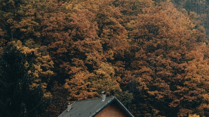 uploaded-image-sadece-odev-sorularinizi-sormaktan-cekinmeyin-1697802356258